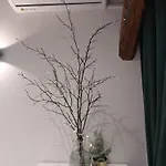 Kamelia-apartamenty Апартаменты *
