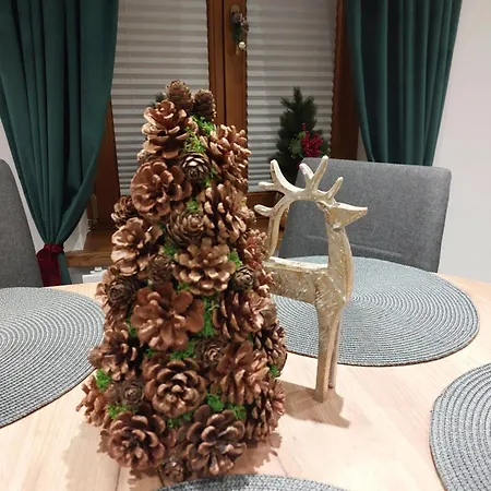 Kamelia-apartamenty Appartement Krynica-Zdrój