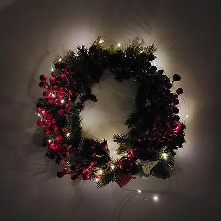 Kamelia-apartamenty *